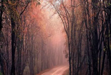 欢乐棋牌真的能带来纯粹的欢乐吗？