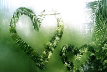 打牌吧下载可靠吗？怎么下载？